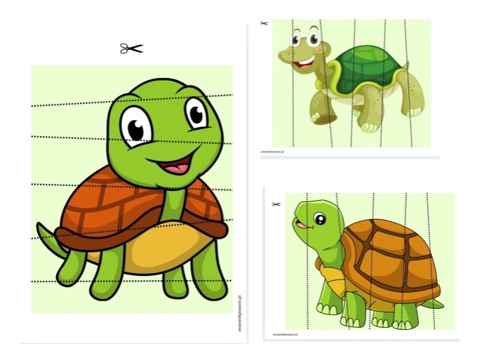 497634845_1205182884380181_6836100940353050949_n