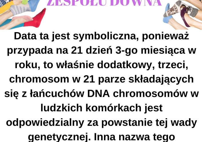 data_ta_jest_symboliczna_poniewaz_przypada_na_21__dzien_3__miesiaca_w_roku_to_wlasnie_dodatkowy_trzeci_chromosom_w_21__parze_skladajacych_sie_z_lancuchow_dna_chromosomow_w_ludzkich_komorkach_j